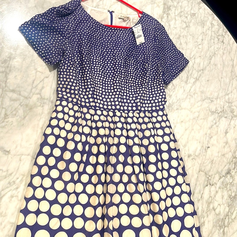 Adorable New Madewell blue polka dot dress